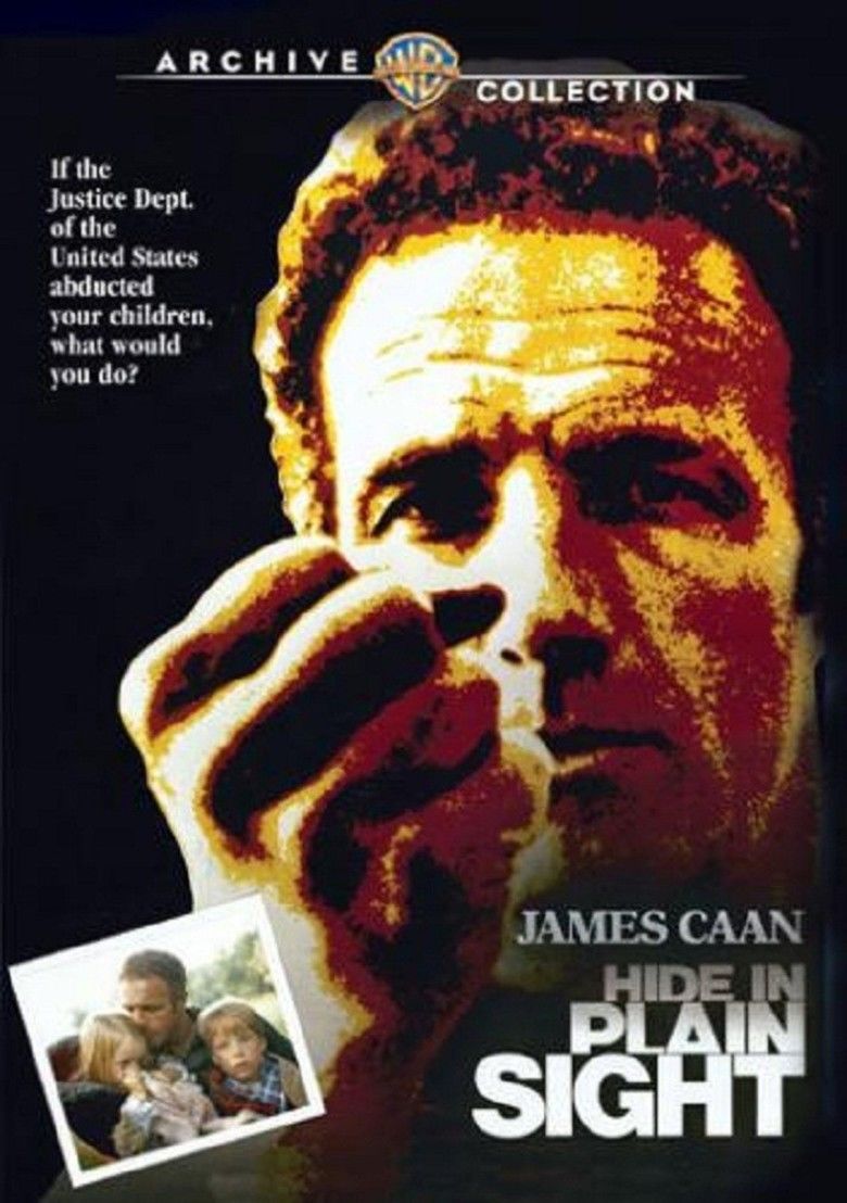 Hide in Plain Sight movie poster