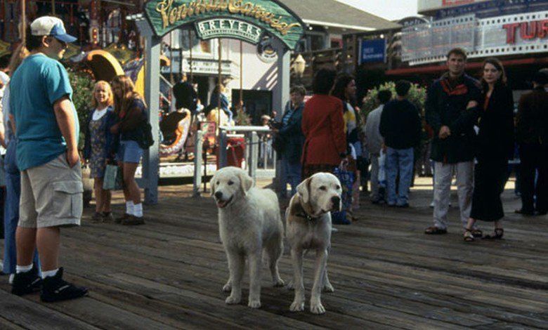 Homeward Bound II: Lost in San Francisco movie scenes