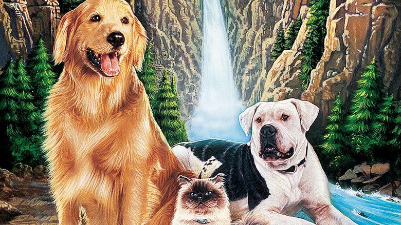 Homeward Bound: The Incredible Journey movie scenes