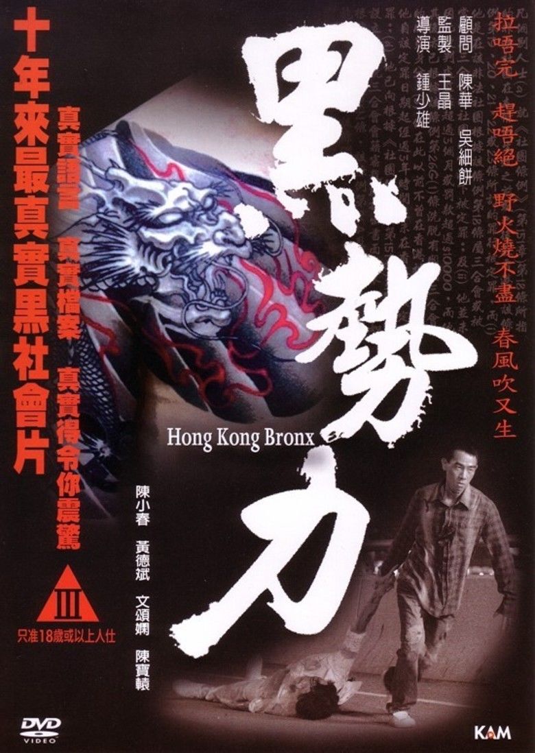 Hong Kong Bronx movie poster