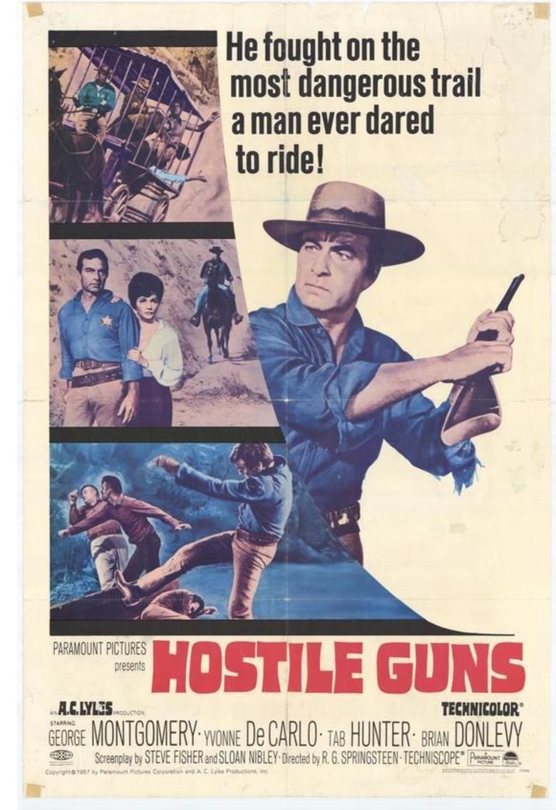 Hostile Guns movie poster