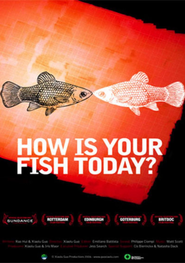 How Is Your Fish Today movie poster