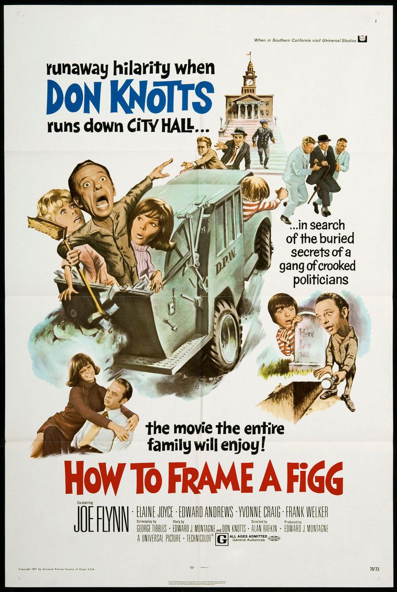 How to Frame a Figg movie poster