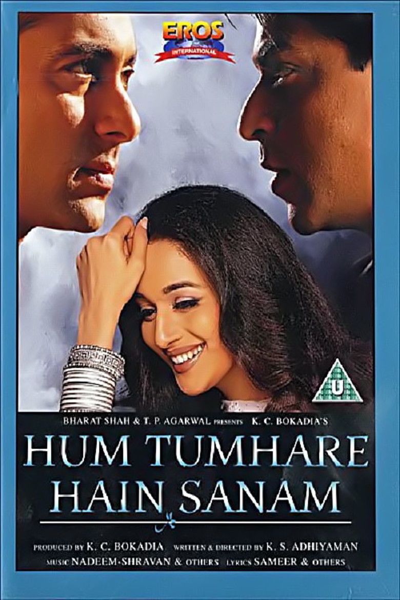 Hum Tumhare Hain Sanam movie poster