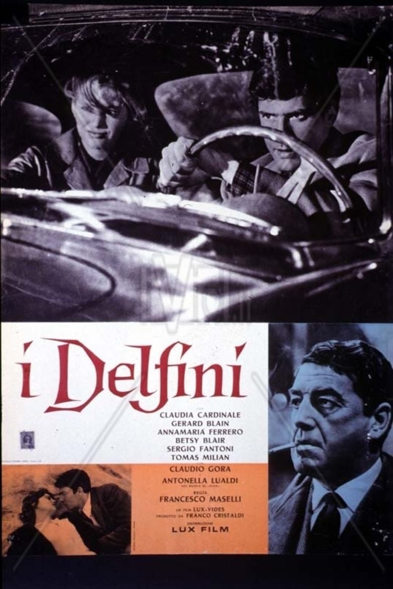 I Delfini movie poster