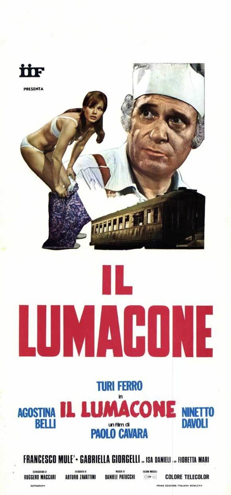 Il lumacone movie poster