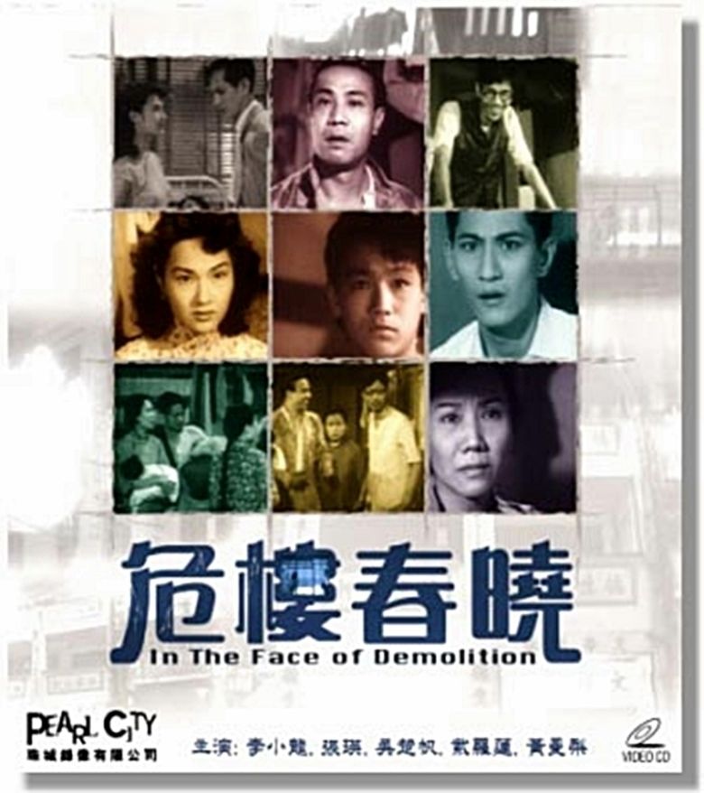 In the Face of Demolition movie poster