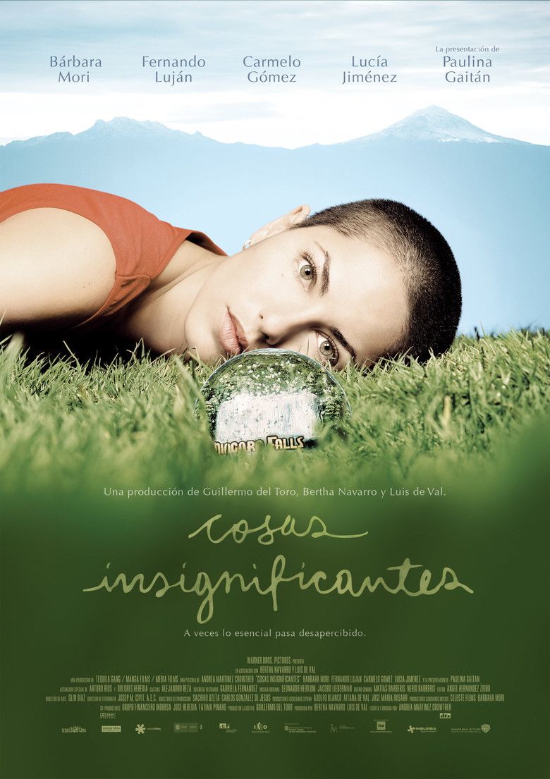 Insignificant Things movie poster