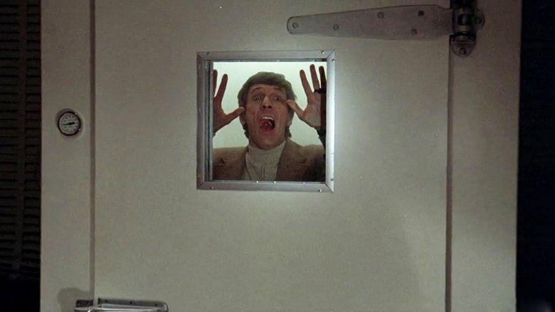 Invasion of the Body Snatchers (1978 film) movie scenes
