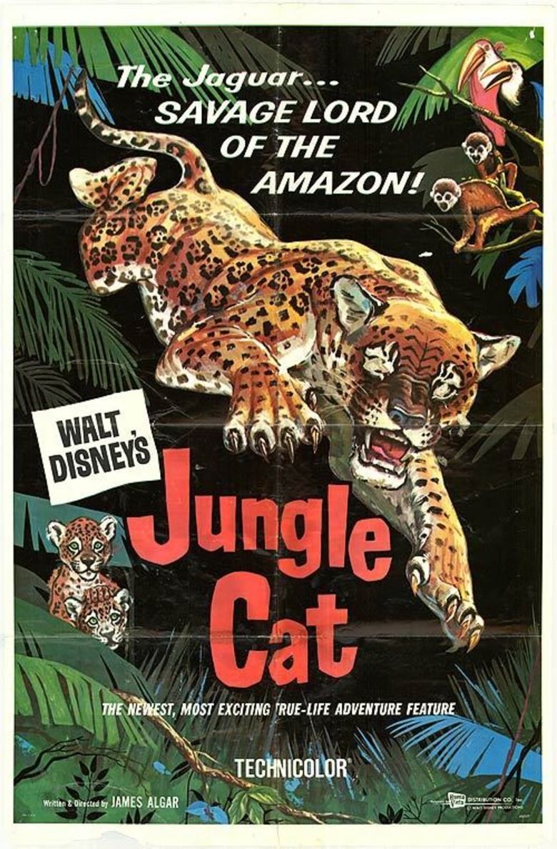 Jungle Cat (film) movie poster