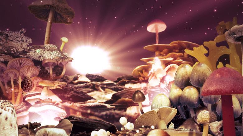 Know Your Mushrooms movie scenes