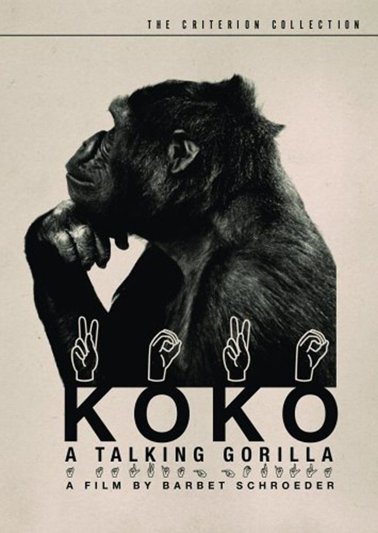 Koko: A Talking Gorilla movie poster