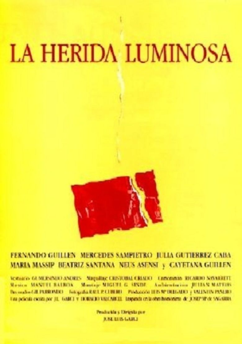 La herida luminosa movie poster