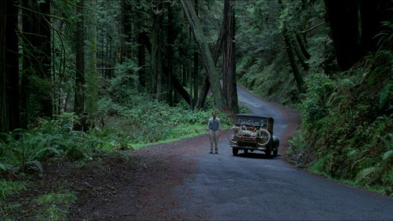 Jeremy Irons as Humbert standing in the middle of a road in a forest scene from Lolita, 1997.