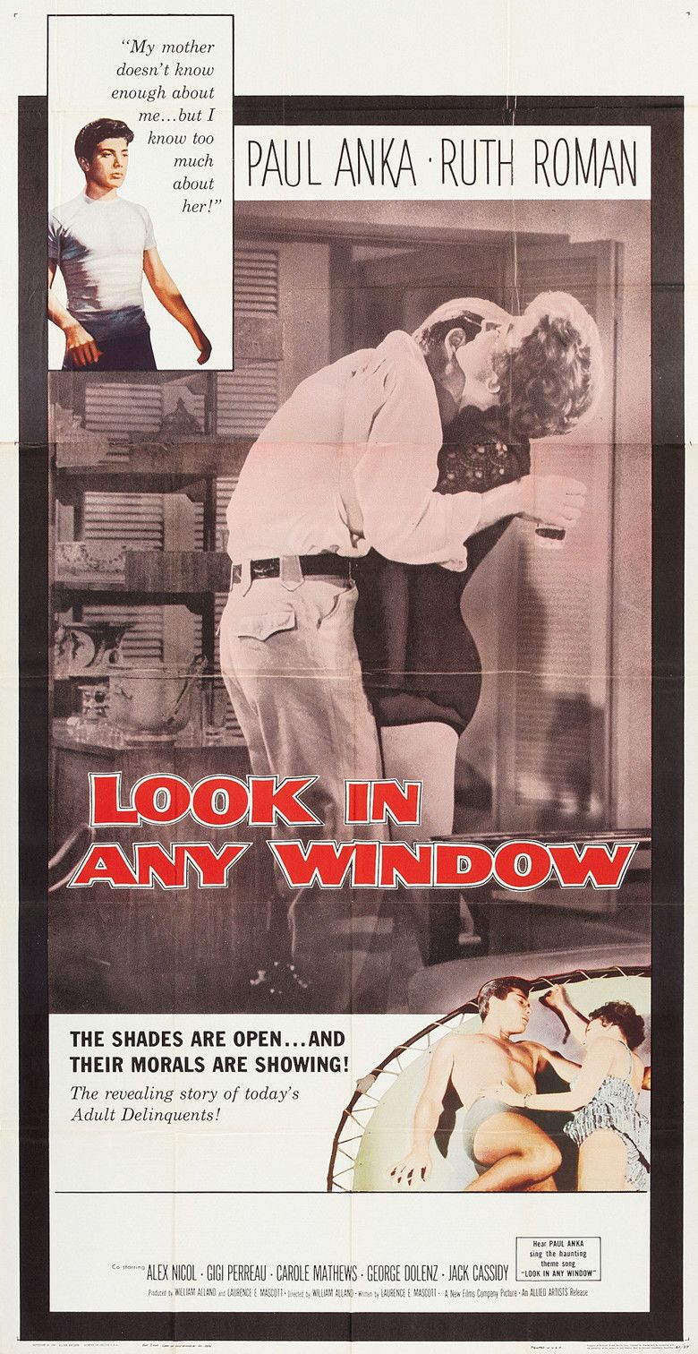 Look in Any Window movie poster
