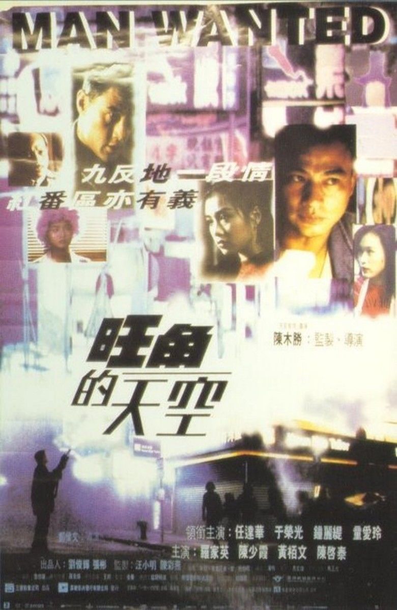 Man Wanted (1995 film) movie poster