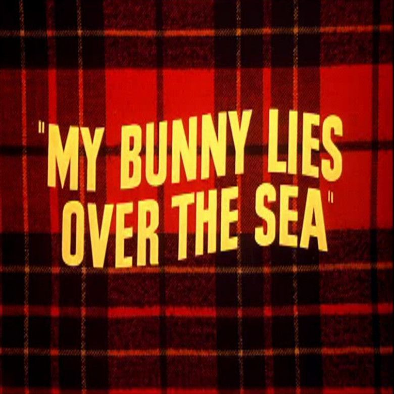 My Bunny Lies over the Sea movie poster