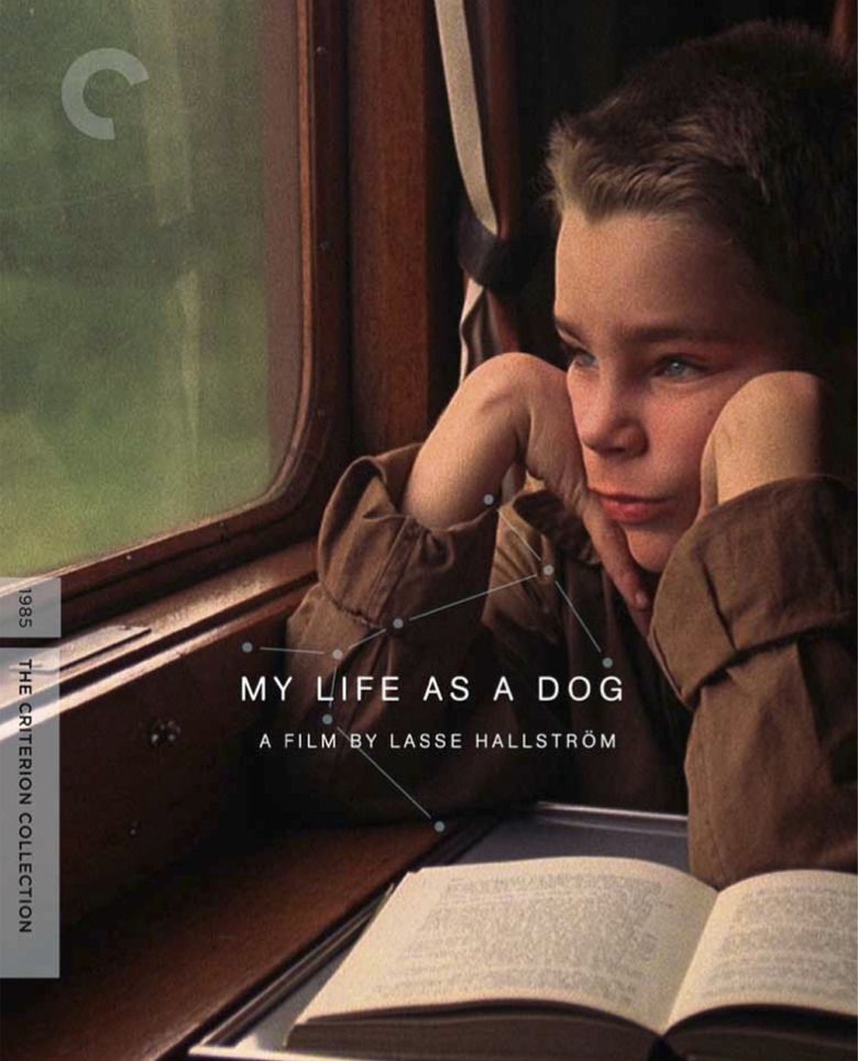 My Life as a Dog movie poster