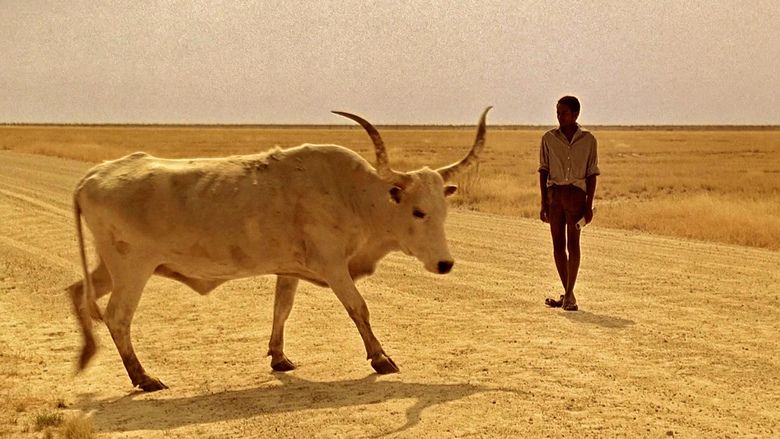 Namibia: The Struggle for Liberation movie scenes