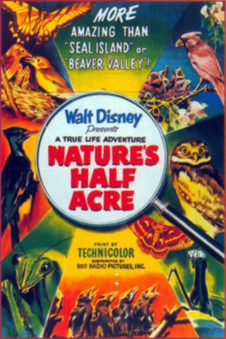 Natures Half Acre movie poster