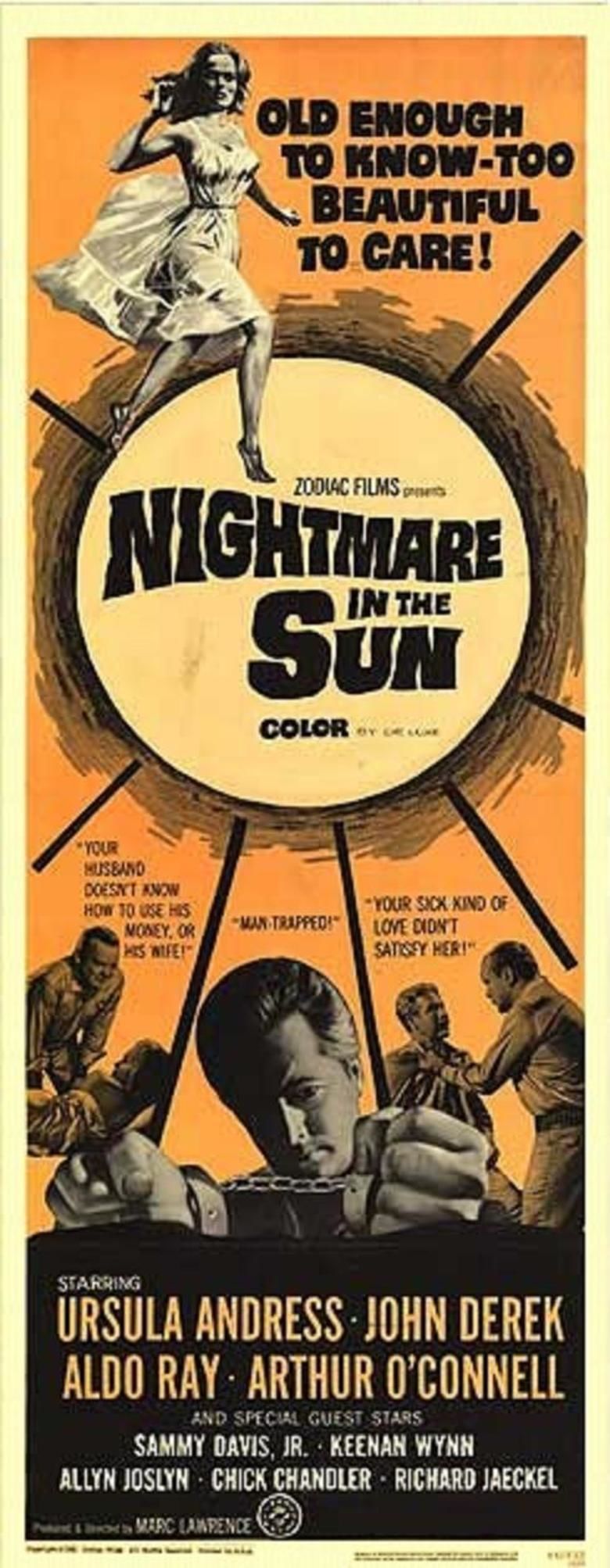Nightmare in the Sun movie poster