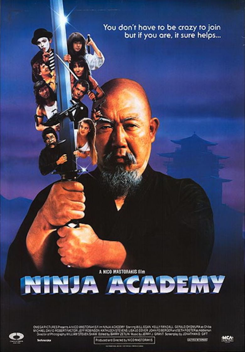 Ninja Academy movie poster