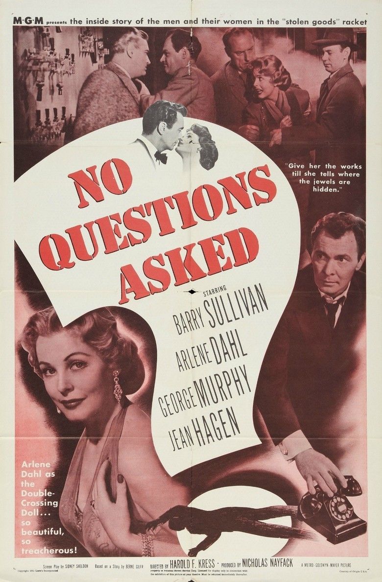 No Questions Asked movie poster