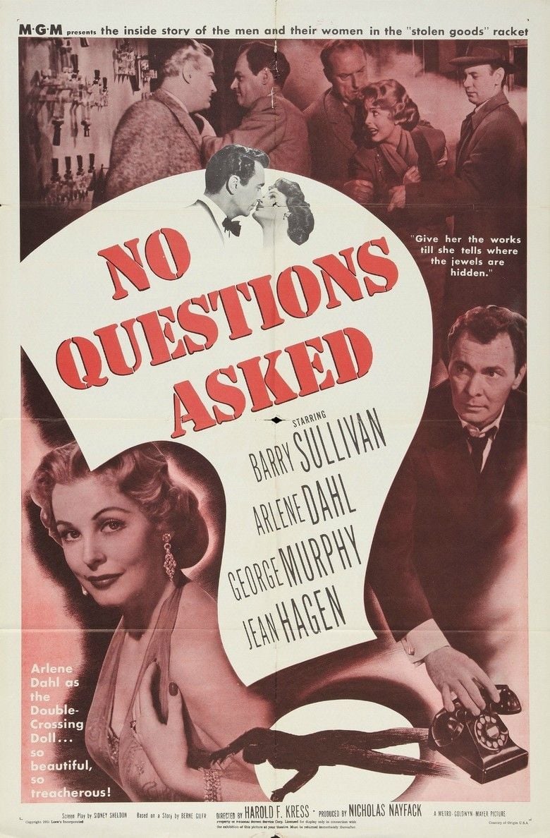 no-questions-asked-film-alchetron-the-free-social-encyclopedia