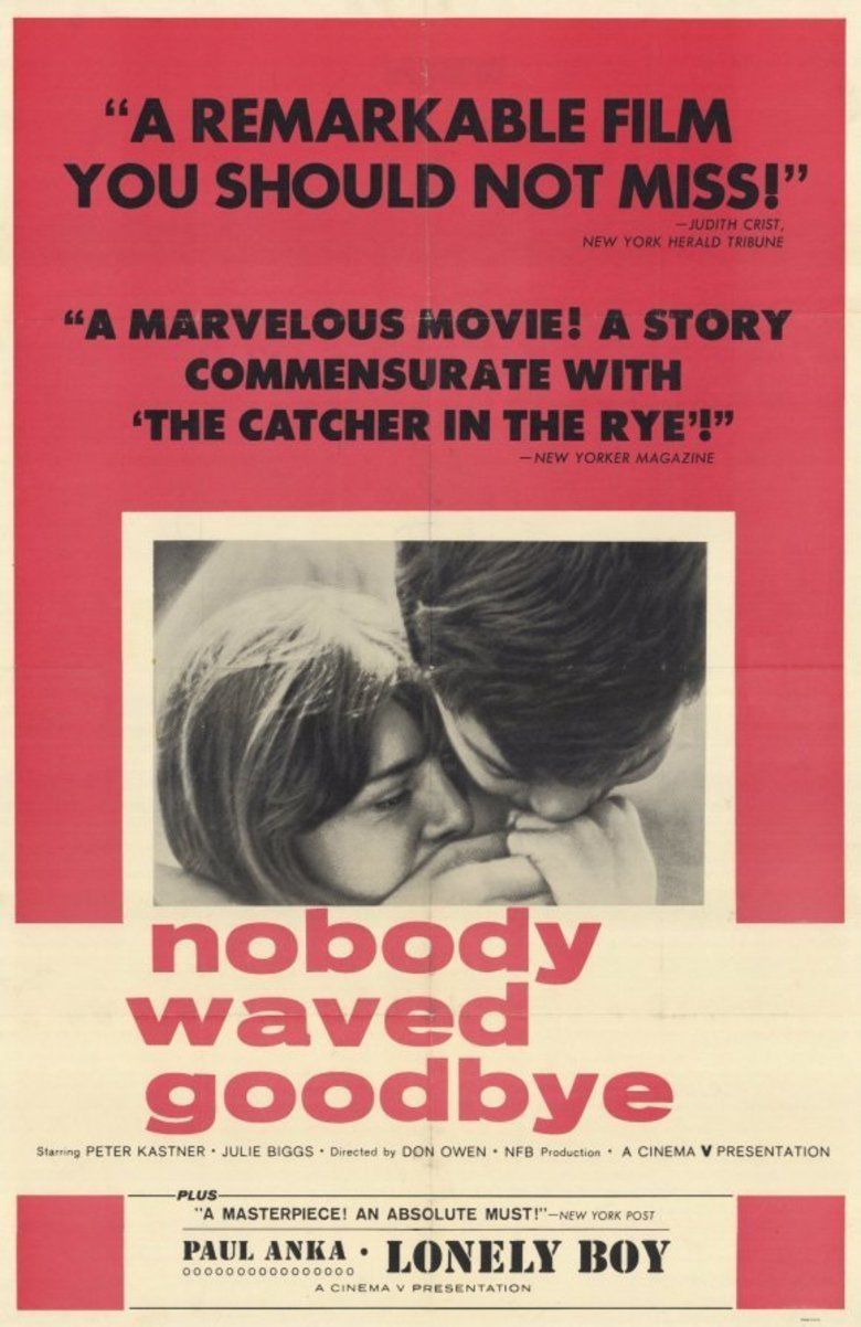 Nobody Waved Good bye movie poster