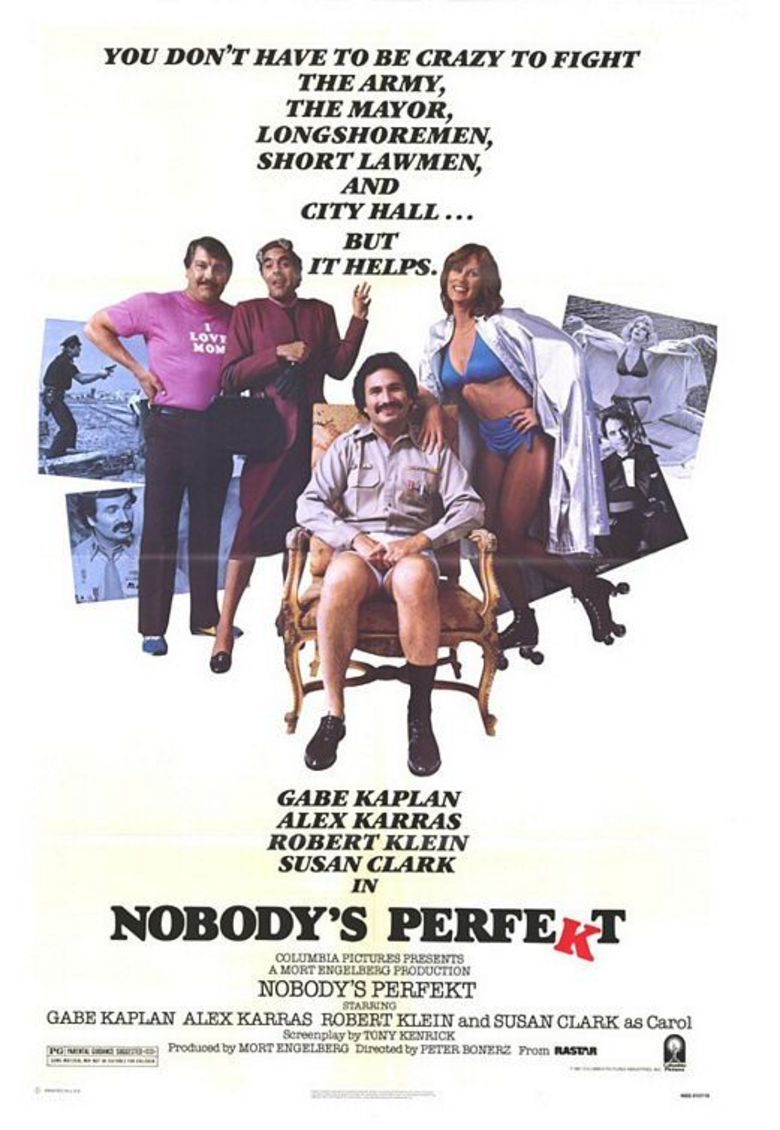 Nobodys Perfekt movie poster