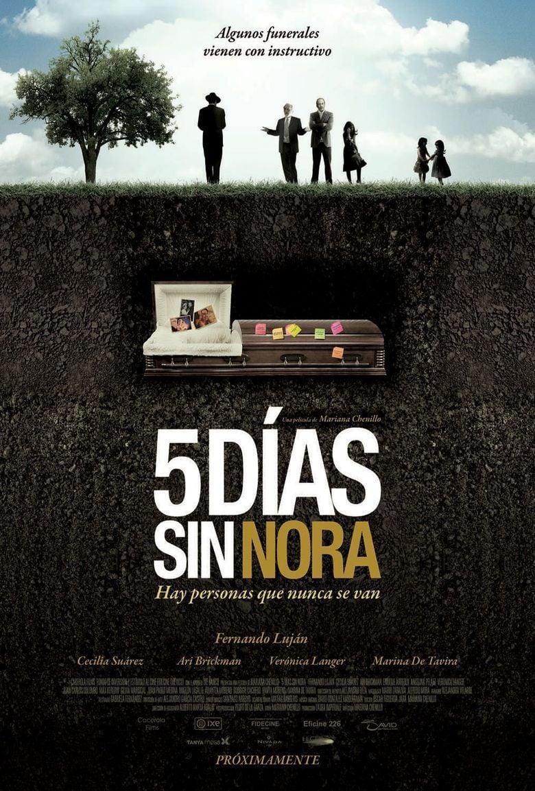 Noras Will movie poster