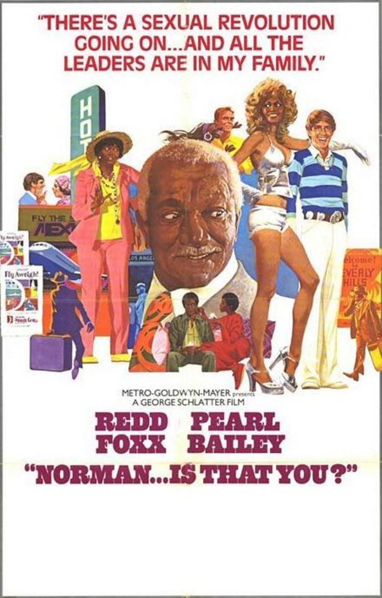 Norman Is That You movie poster