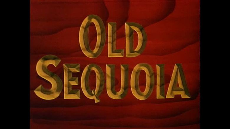 Old Sequoia movie scenes