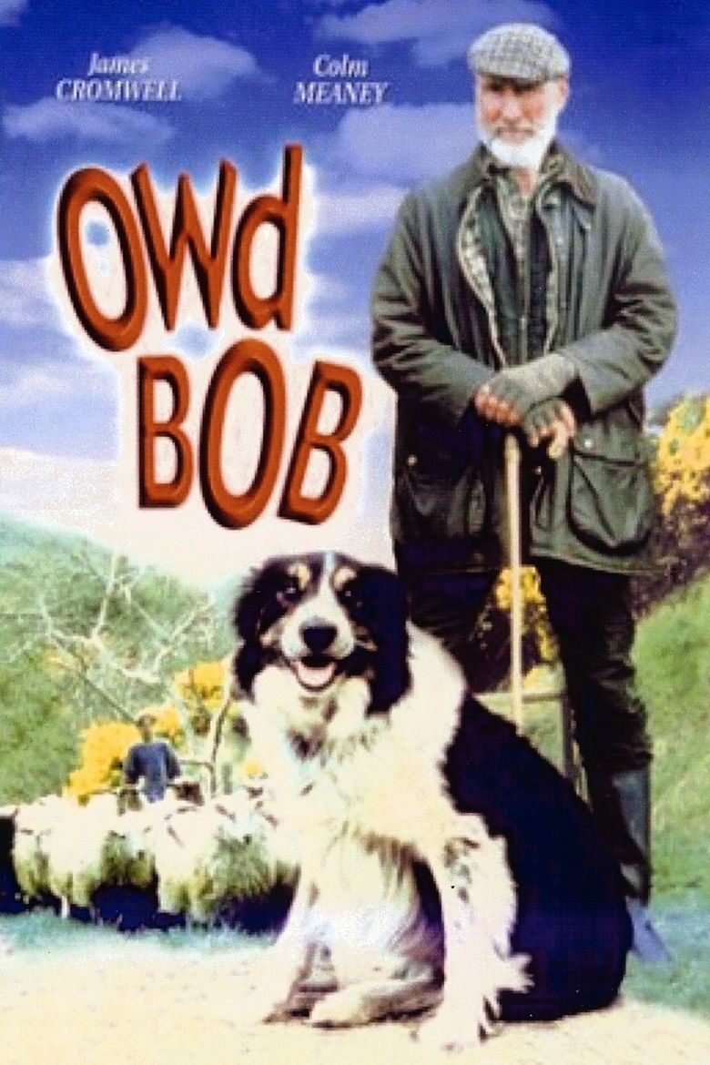 Owd Bob (1998 film) movie poster