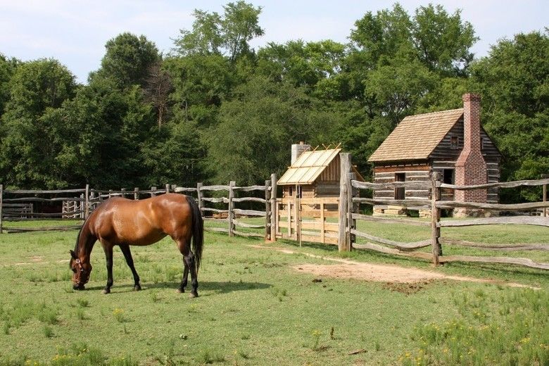 Pure Country movie scenes