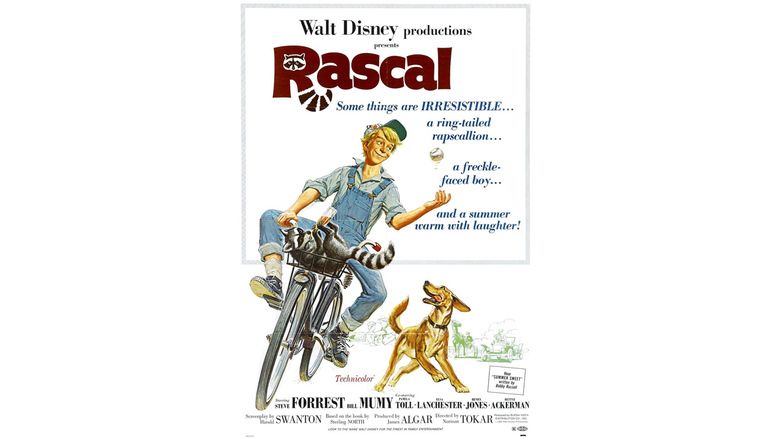 Rascal (film) movie scenes