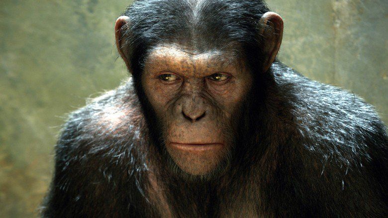 Rise of the Planet of the Apes movie scenes