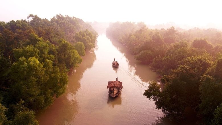 Roar: Tigers of the Sundarbans movie scenes