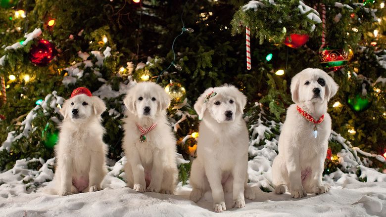 Santa Paws 2: The Santa Pups movie scenes