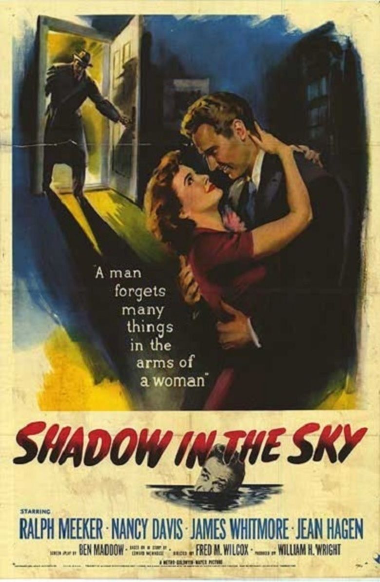 Shadow in the Sky movie poster