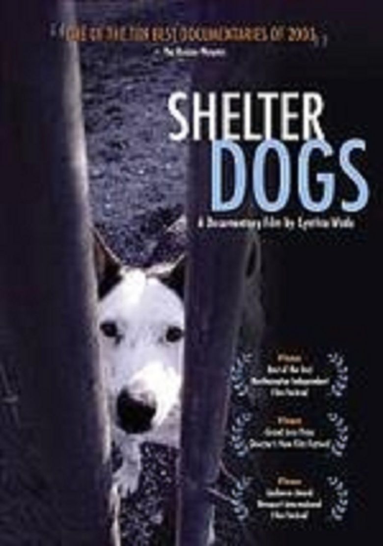 Shelter Dogs movie poster