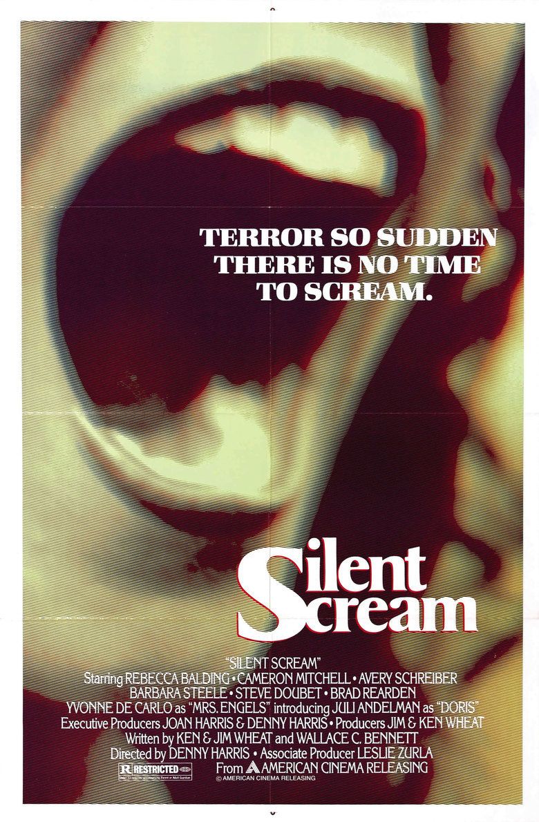 Silent Scream (1980 film) movie poster