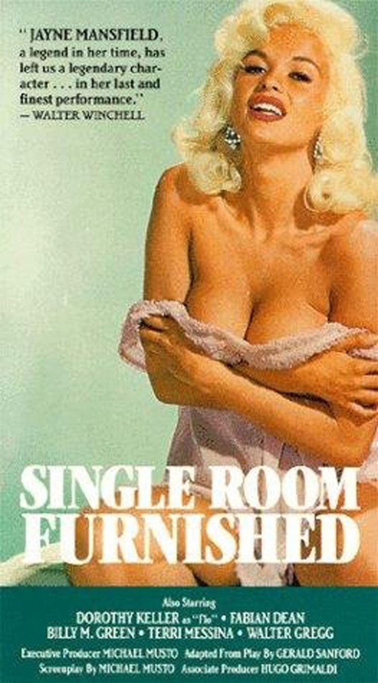 Single Room Furnished movie poster