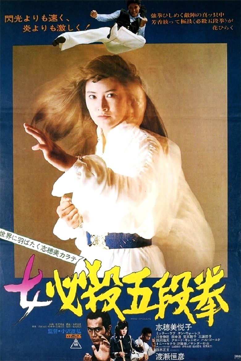 Sister Street Fighter Fifth Level Fist movie poster