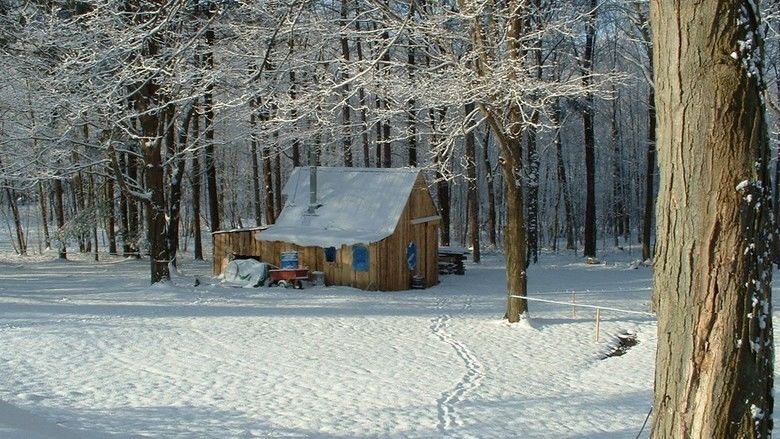 Snow (2004 film) movie scenes