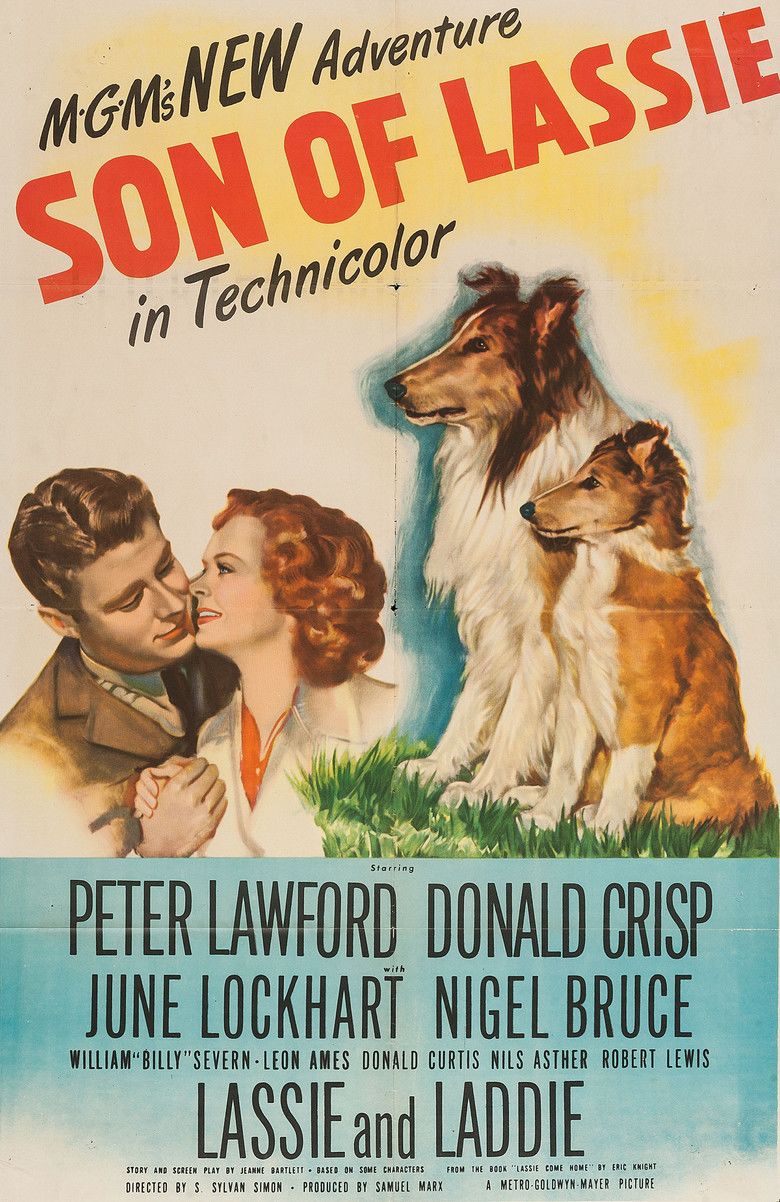 Son of Lassie movie poster