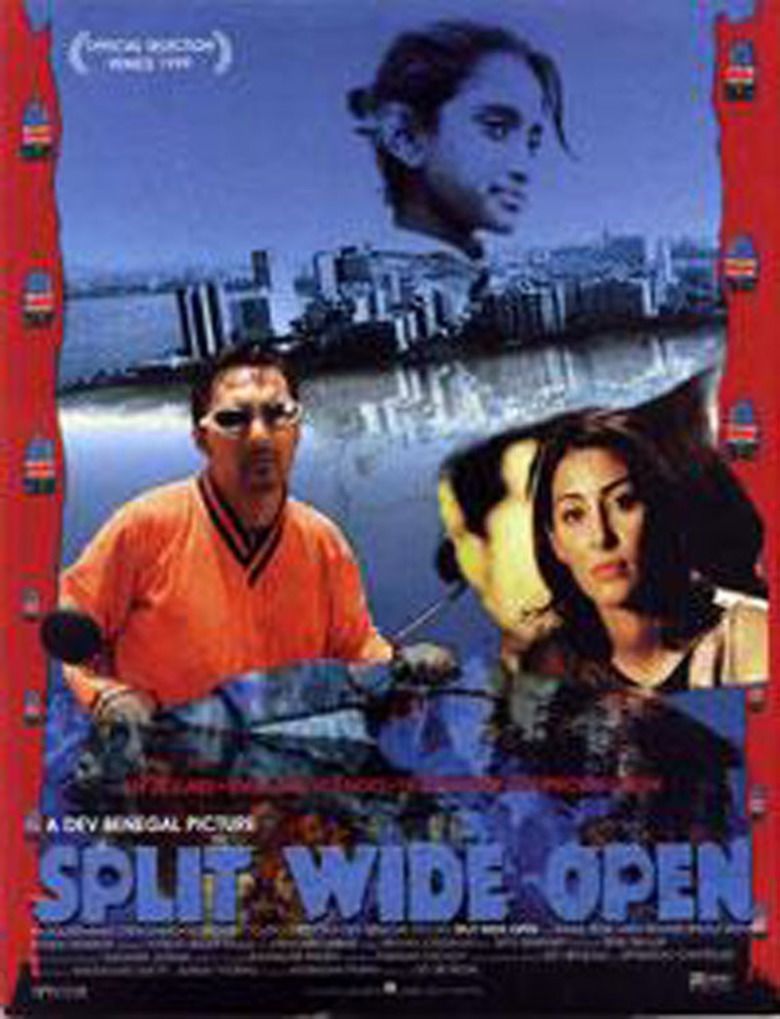 Split Wide Open movie poster