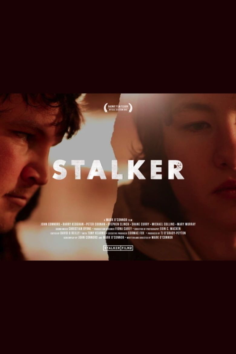 Stalker (2012 film) movie poster