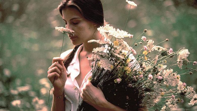 Stealing Beauty movie scenes