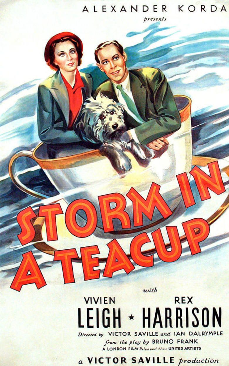 Storm in a Teacup (film) movie poster